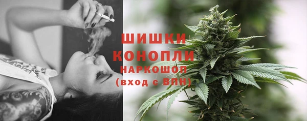 Альфа ПВП Карпинск