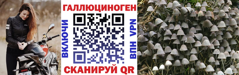 Галлюциногенные грибы GOLDEN TEACHER  Купить закладки  Заволжье 
